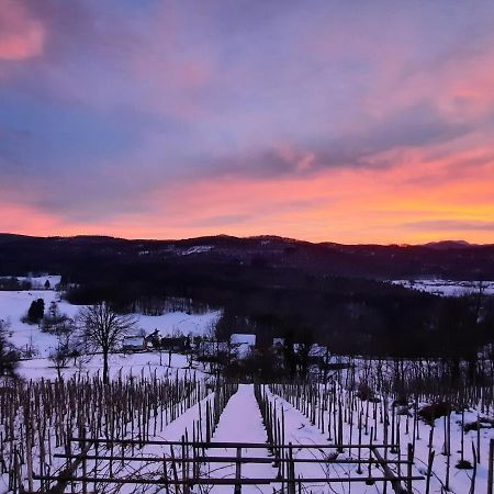 Vineyard Cottage Kulovec Ursna Sela Exterior foto