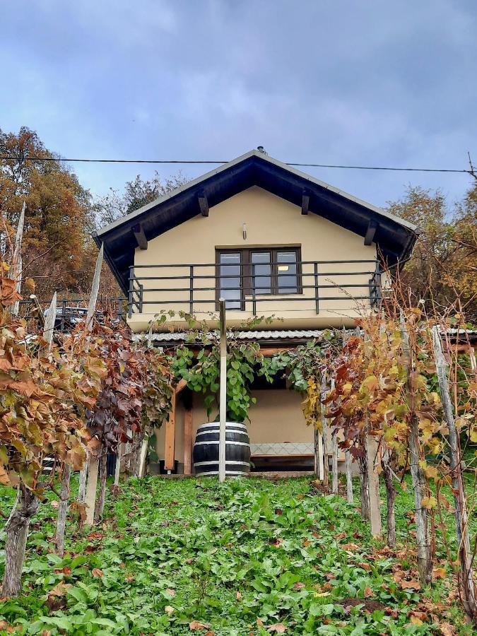 Vineyard Cottage Kulovec Ursna Sela Exterior foto