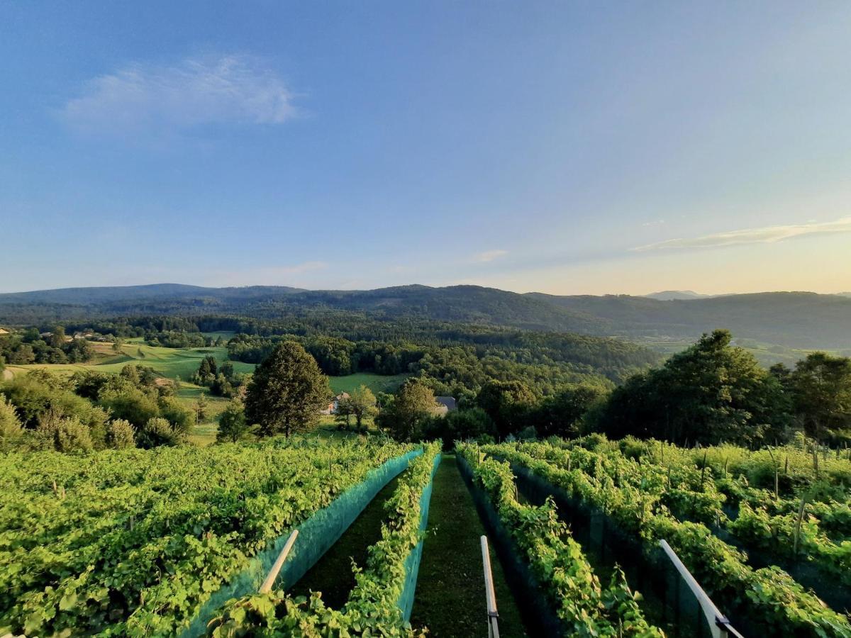 Vineyard Cottage Kulovec Ursna Sela Exterior foto