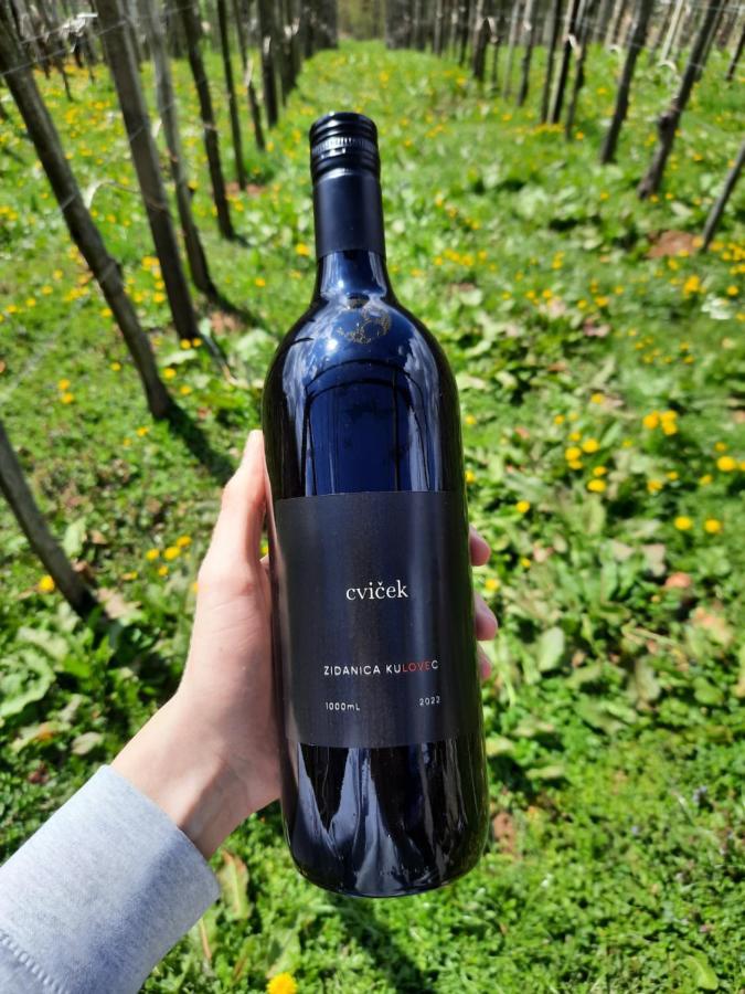 Vineyard Cottage Kulovec Ursna Sela Exterior foto
